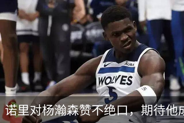 诺里对杨瀚森赞不绝口，期待他成为球队的进攻核心